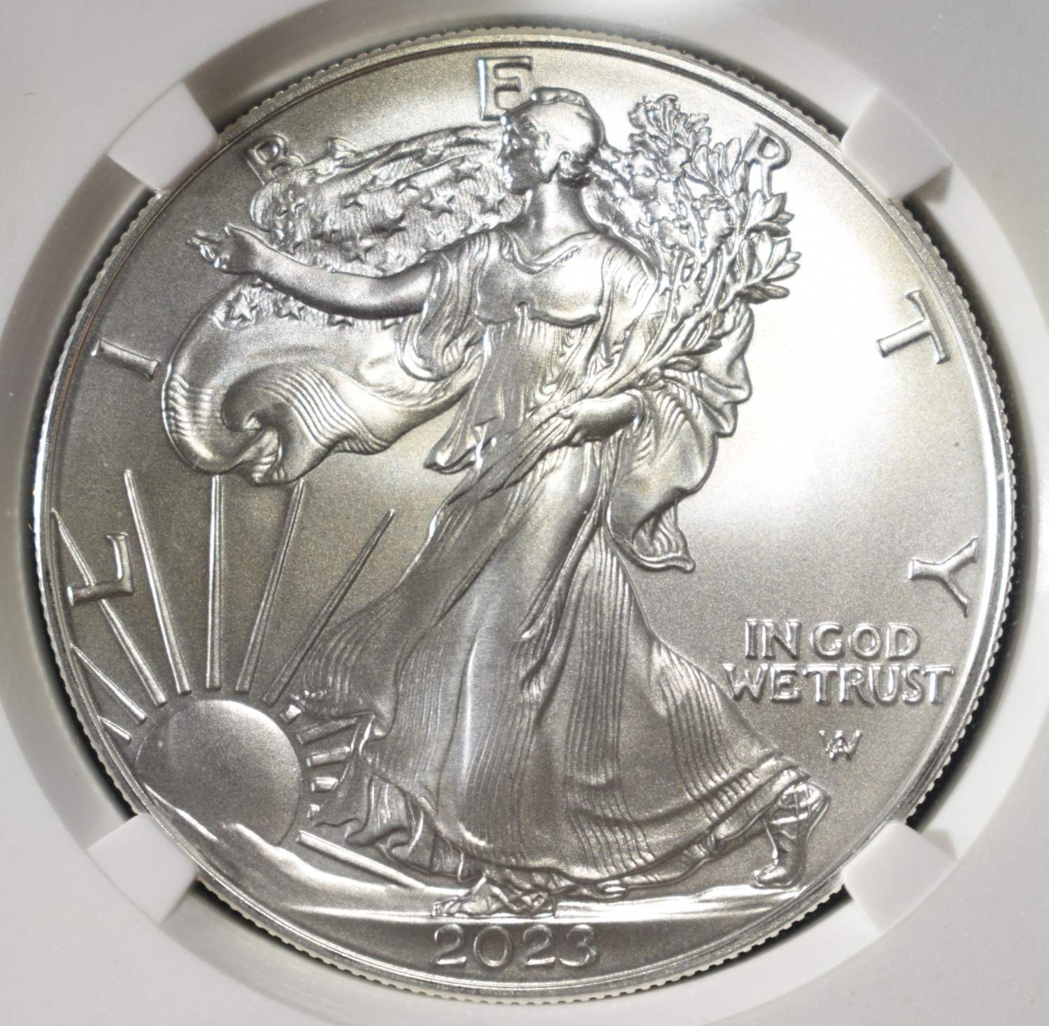 2023 AMERICAN SILVER EAGLE NGC MS70