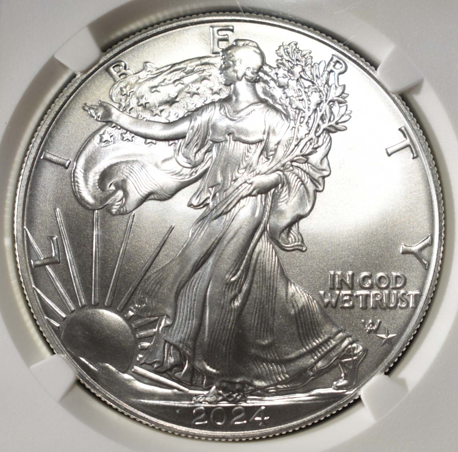 2024(P) AMERICAN SILVER EAGLE NGC MS70 STAR PRIVY