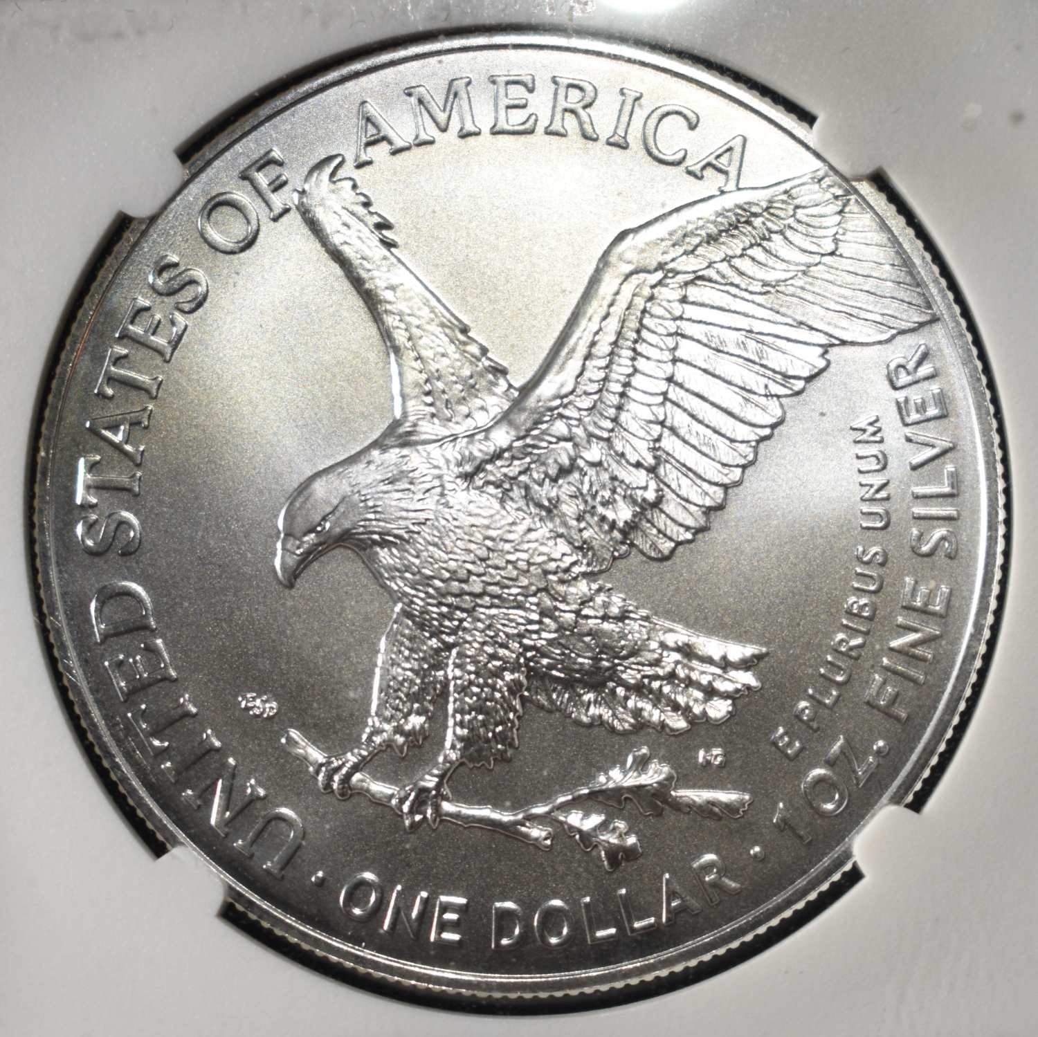 2024(P) AMERICAN SILVER EAGLE NGC MS70 STAR PRIVY