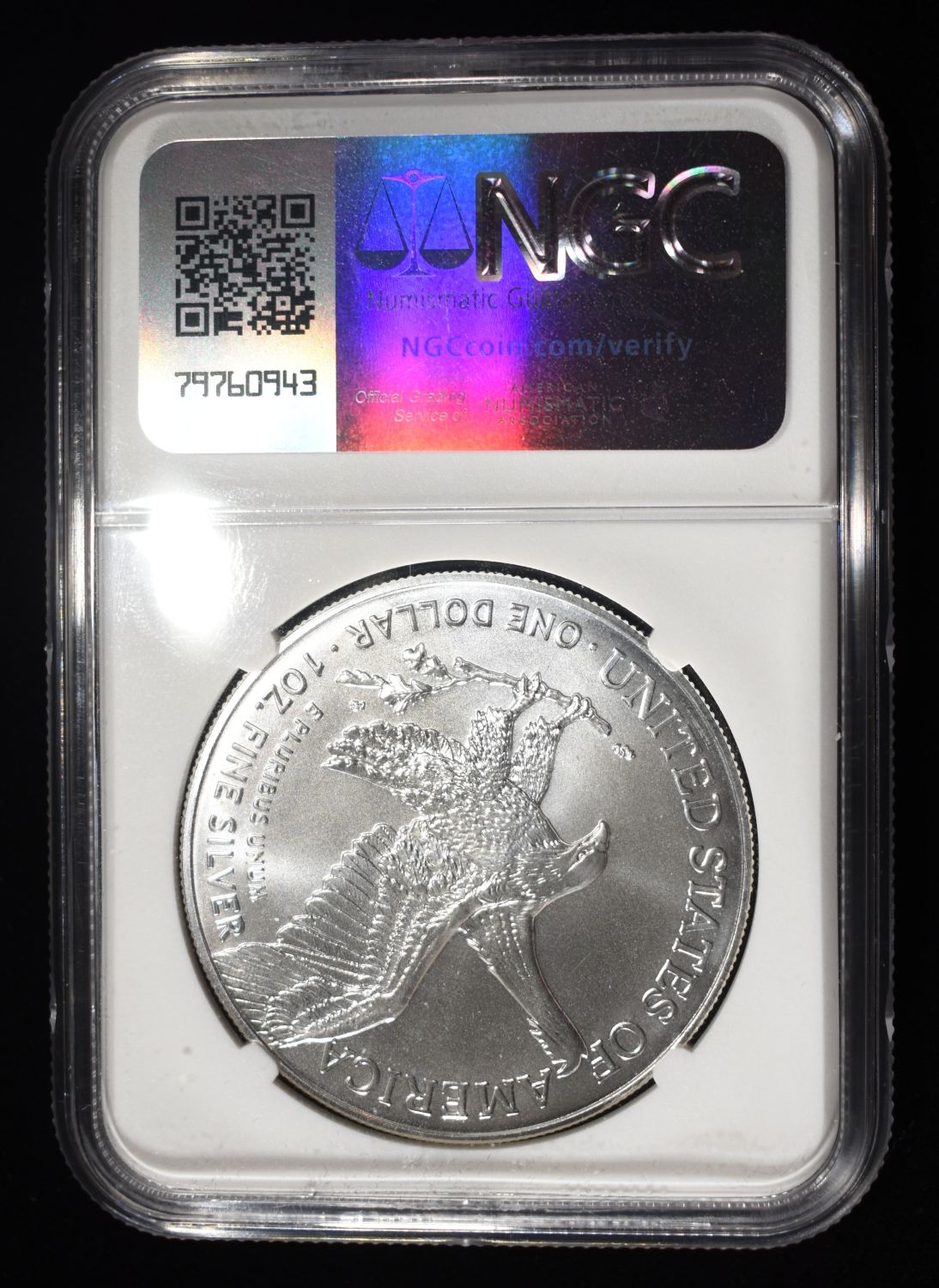 2024(P) AMERICAN SILVER EAGLE NGC MS70 STAR PRIVY