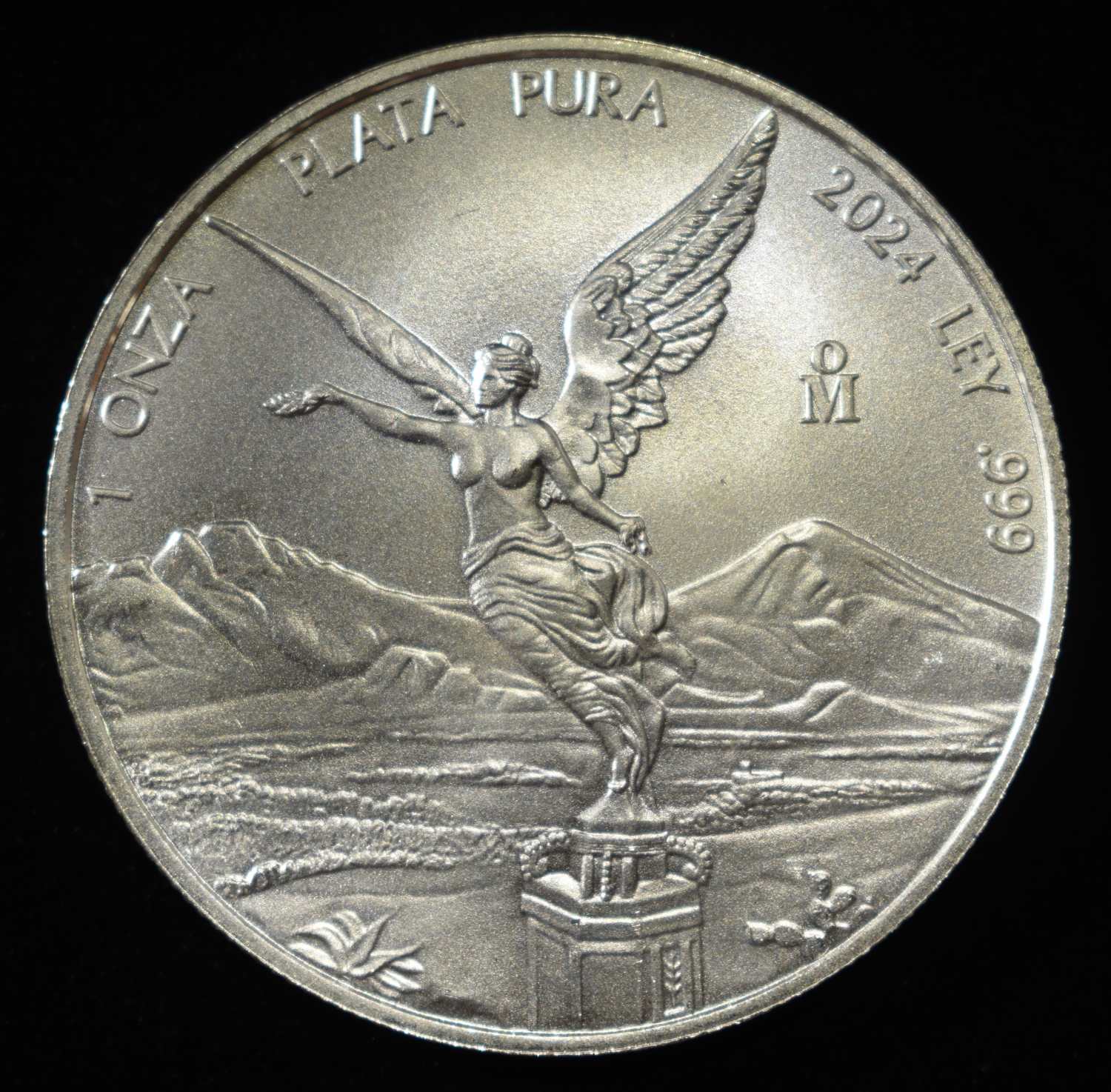 2024 PLATA PURA 1 OZ .999 SILVER ROUND