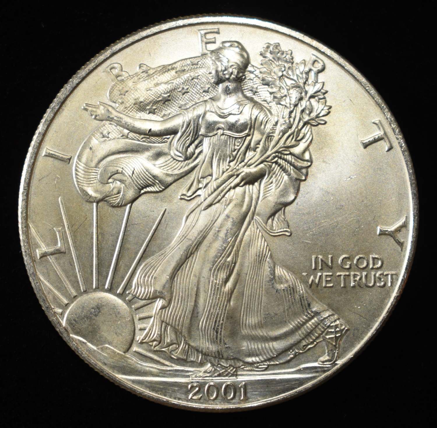 2001 AMERICAN SILVER EAGLE