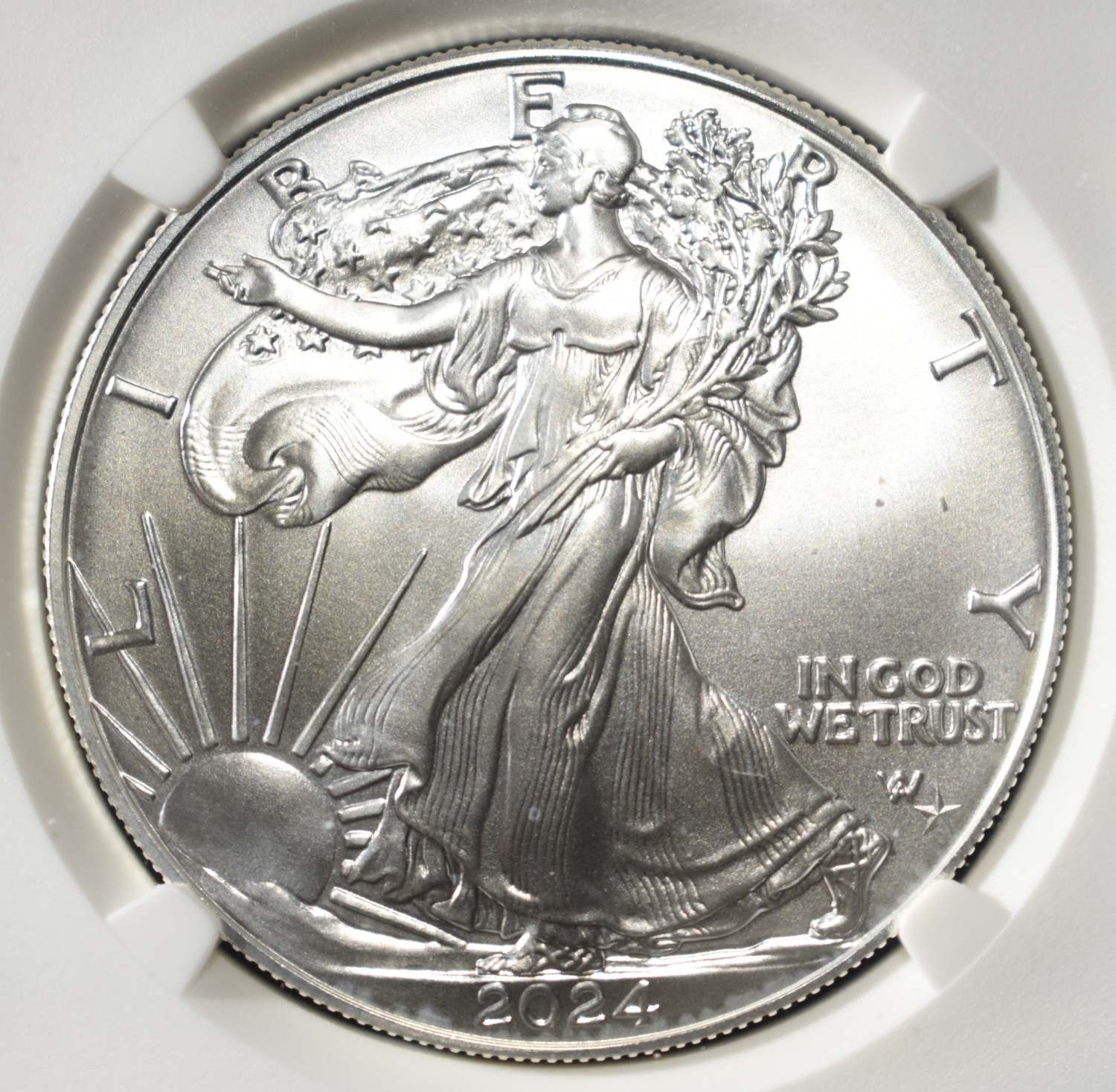 2024(P) AMERICAN SILVER EAGLE NGC MS70 STAR PRIVY