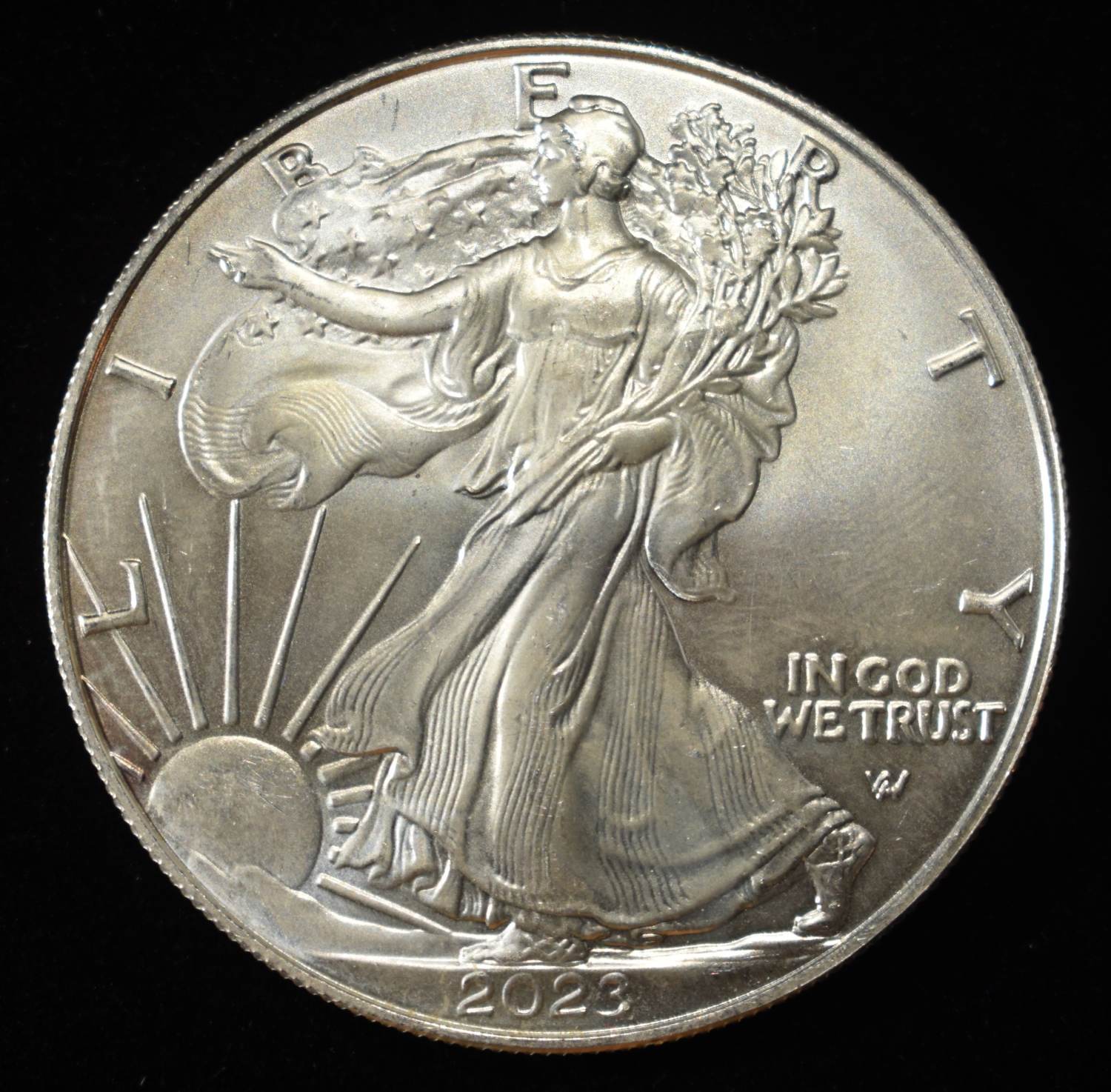 2023 AMERICAN SILVER EAGLE