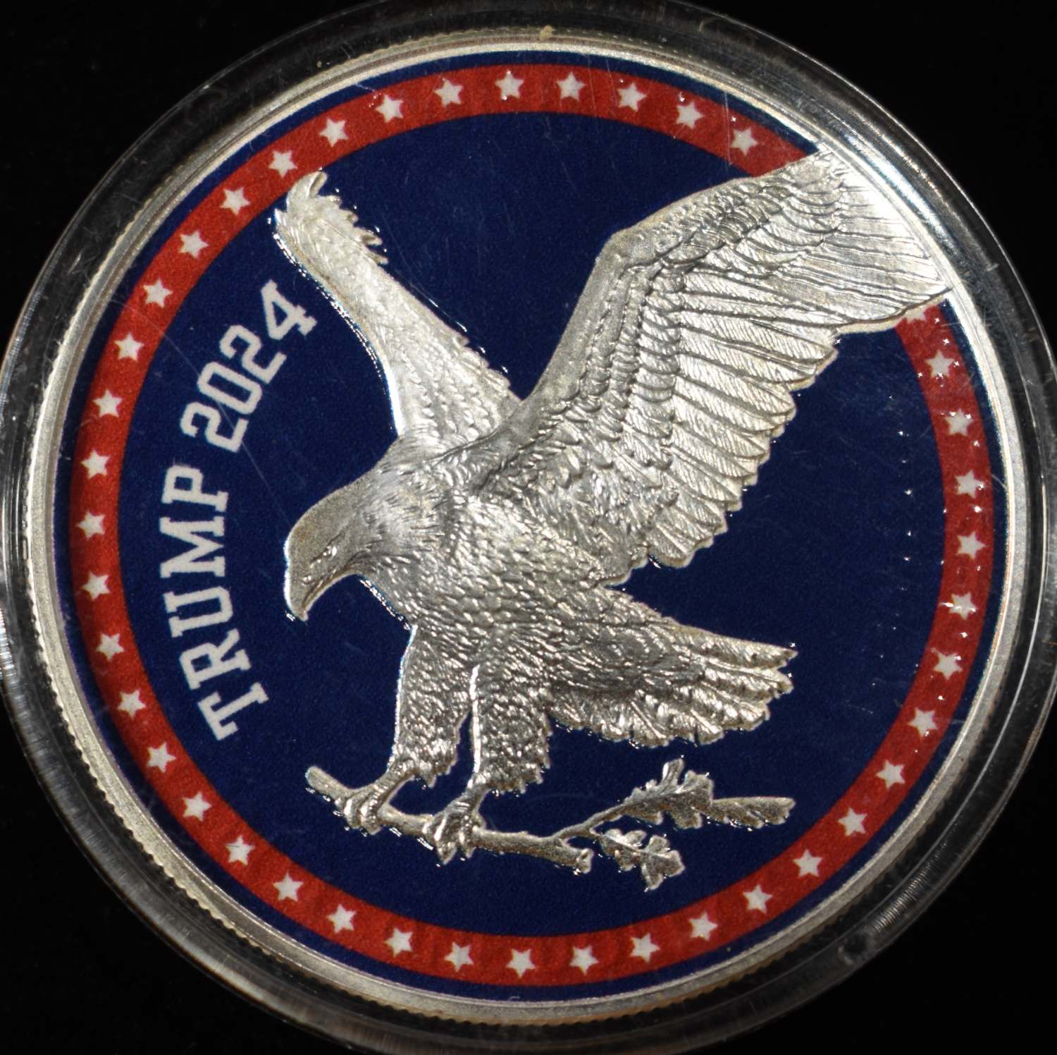 2024 AMERICAN SILVER EAGLE PAINTED