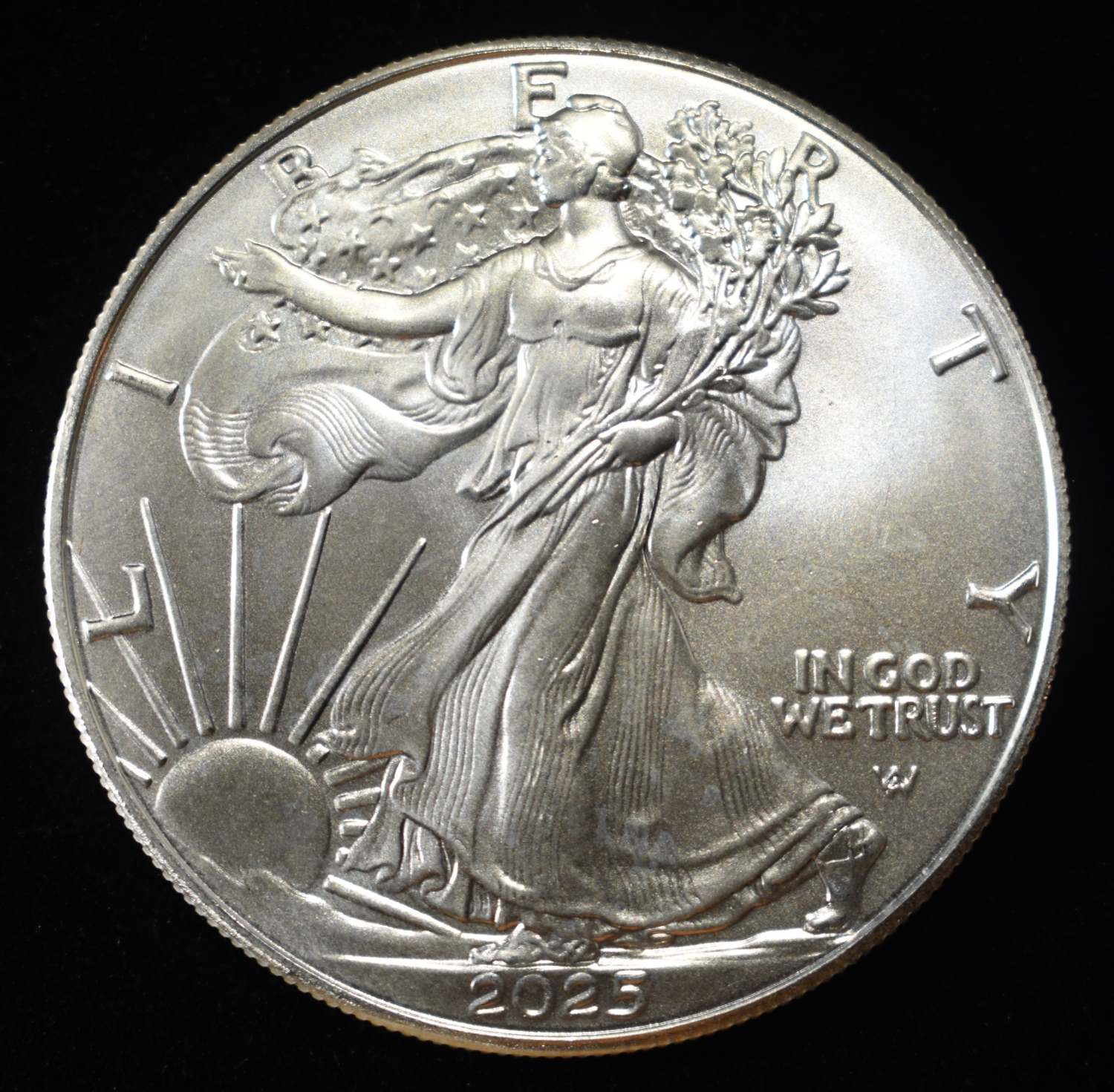 2025 AMERICAN SILVER EAGLE