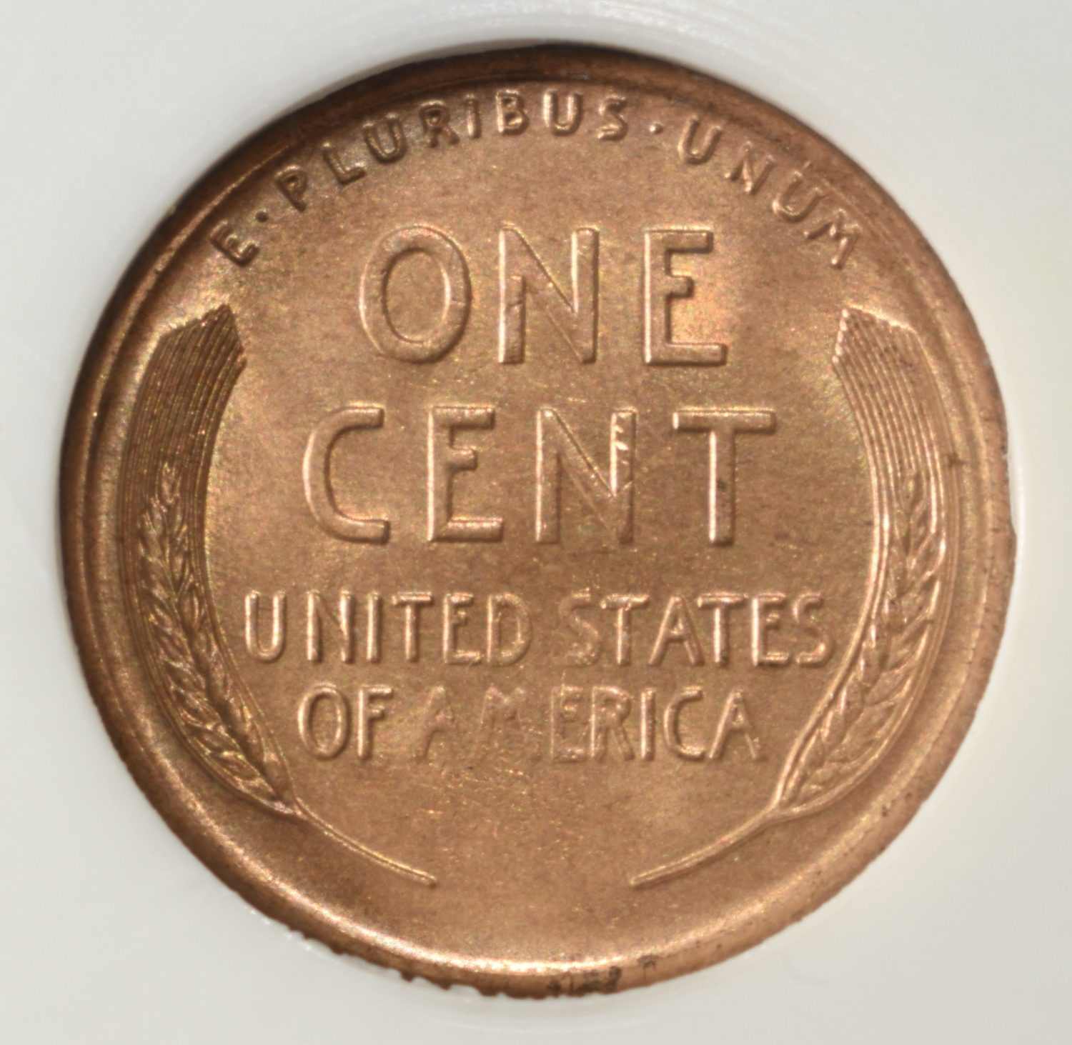1925-S WHEAT CENT PCI GEM BU RD