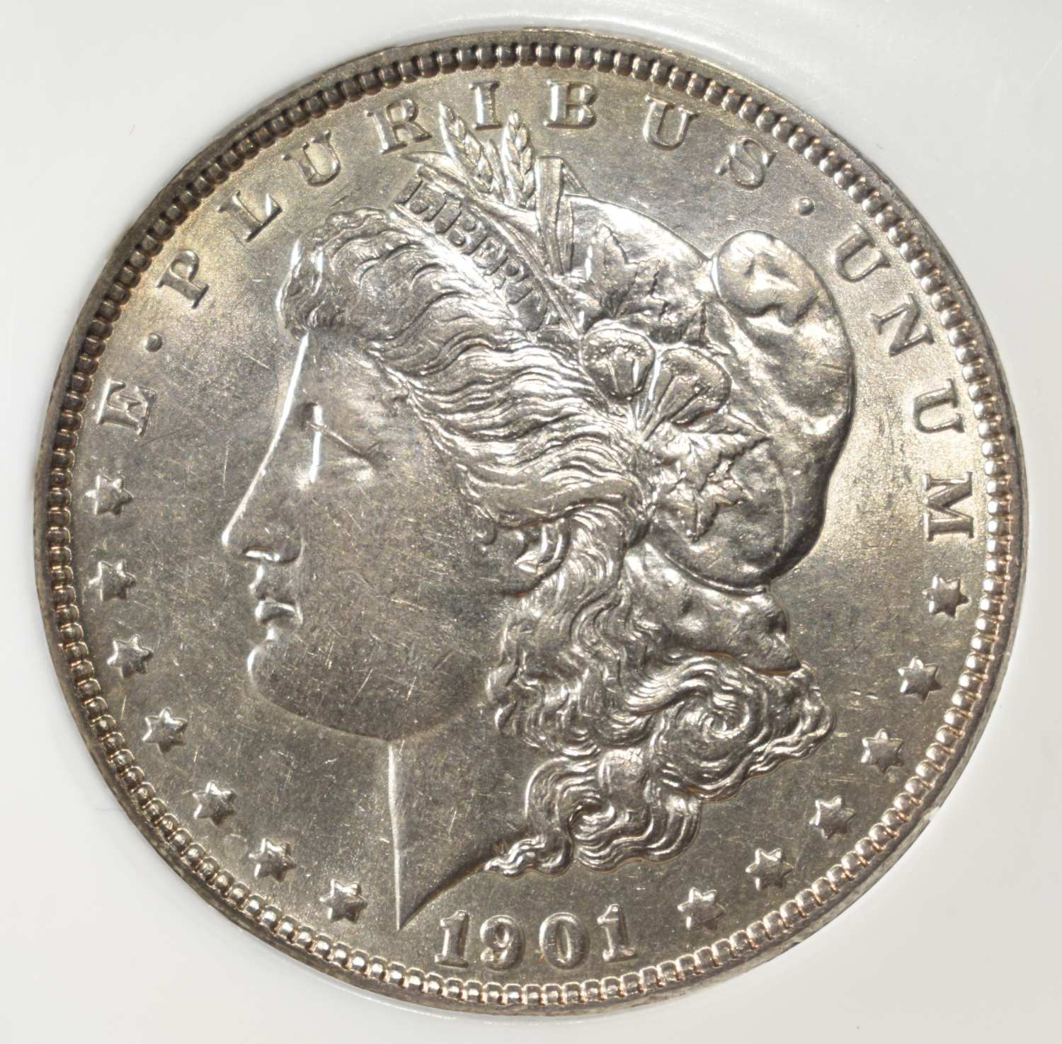 1901 MORGAN DOLLAR PCI BU