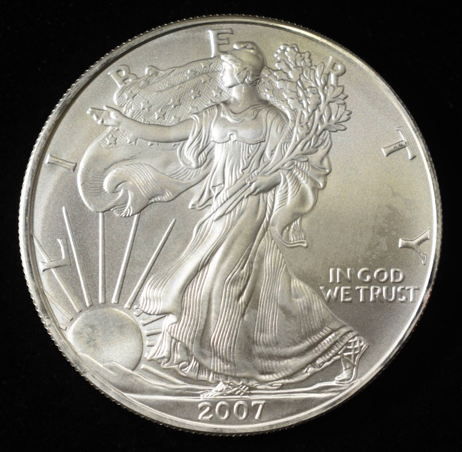 2007 AMERICAN SILVER EAGLE