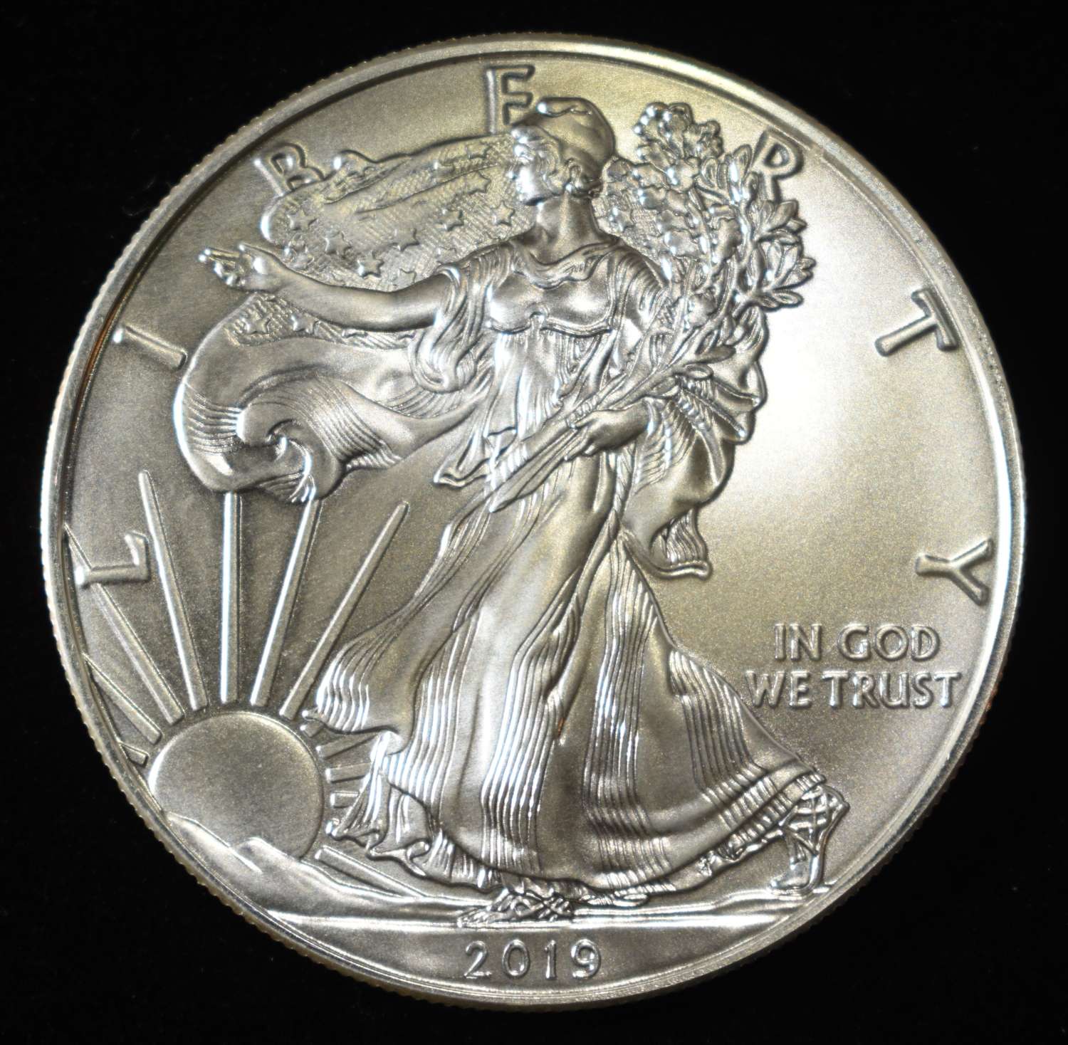 2019 AMERICAN SILVER EAGLE