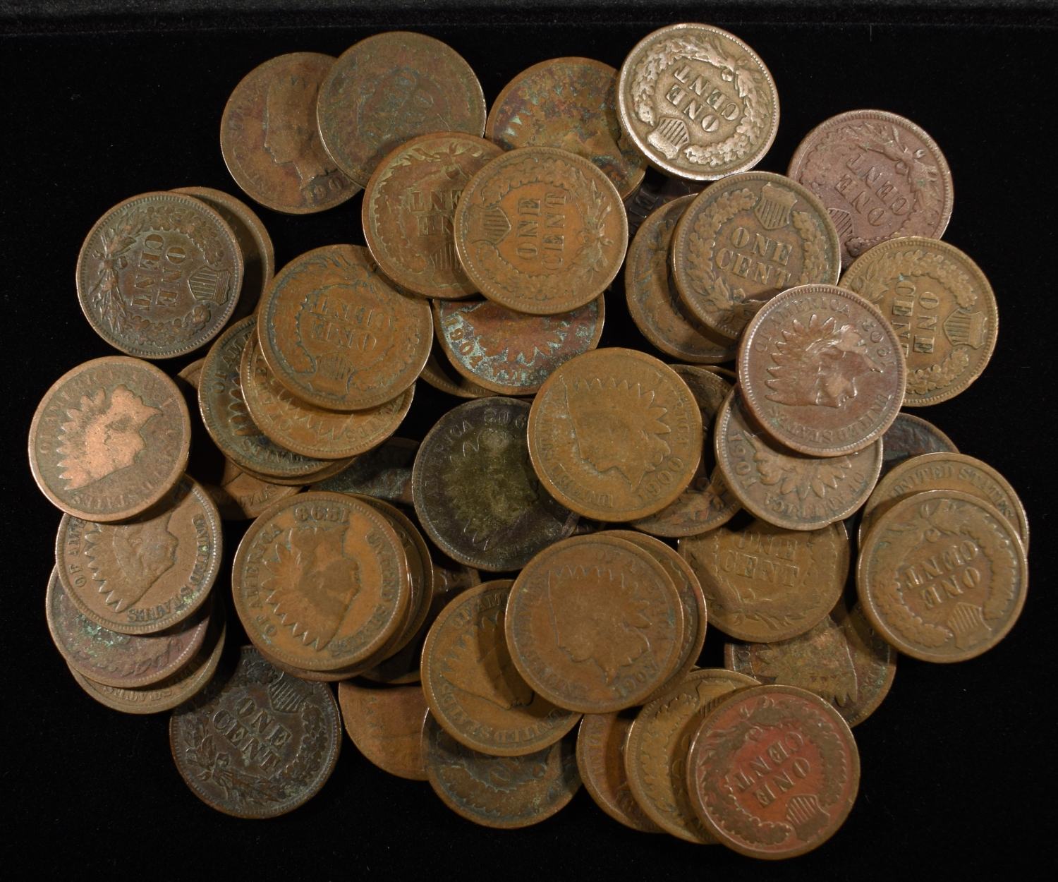 (50) INDIAN CENTS