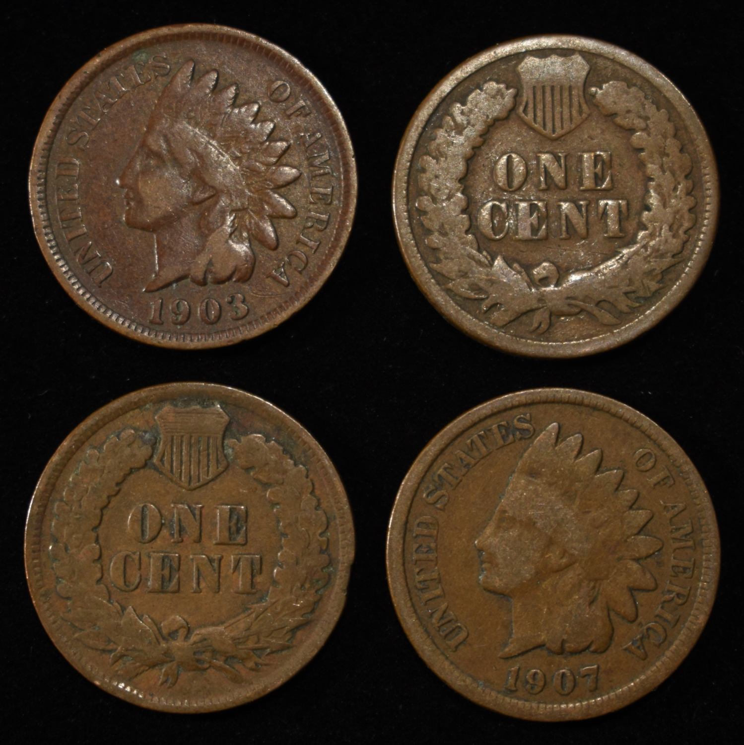 (50) INDIAN CENTS