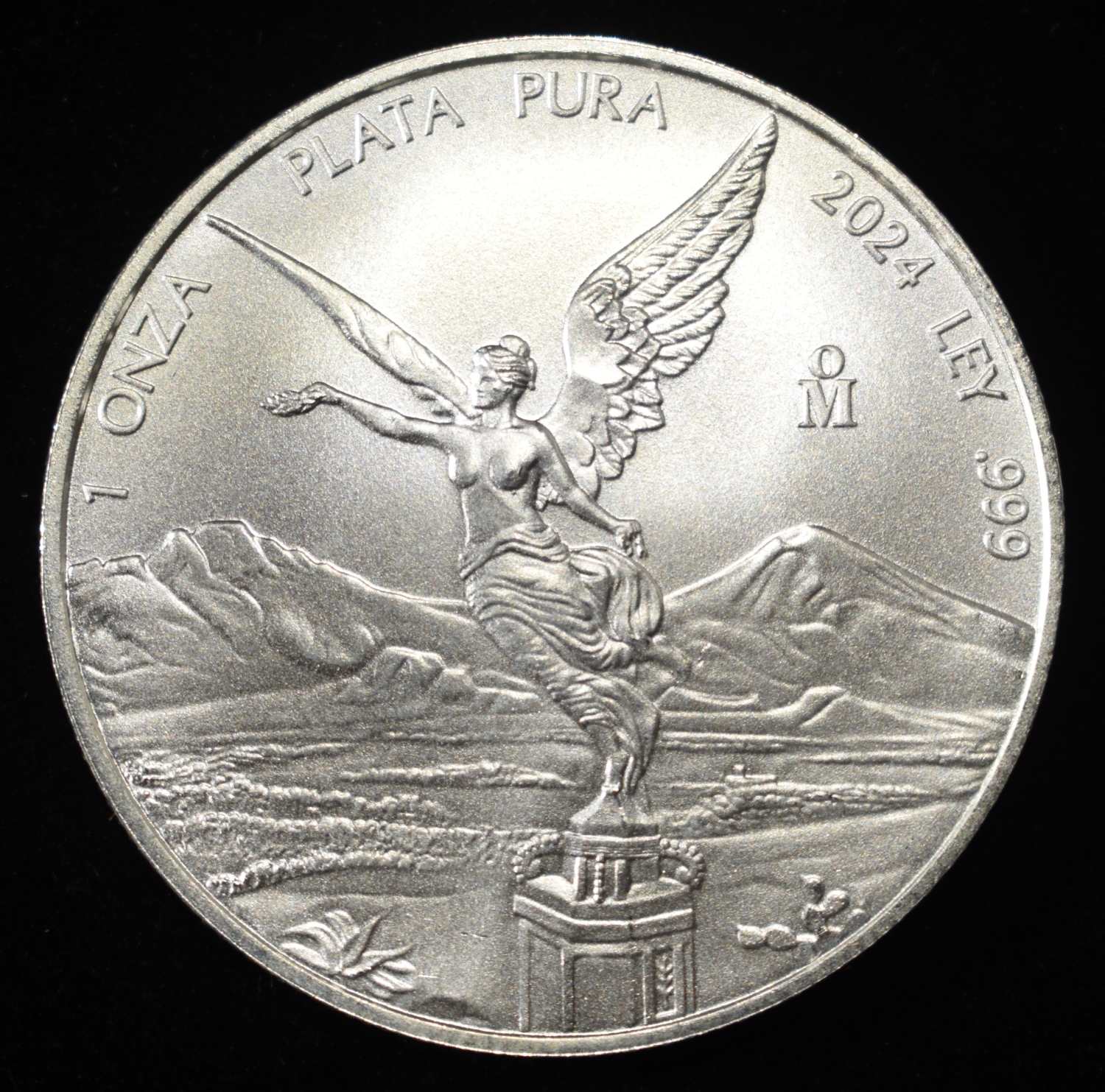 2024 PLATA PURA 1 OZ 0.999 SILVER ROUND