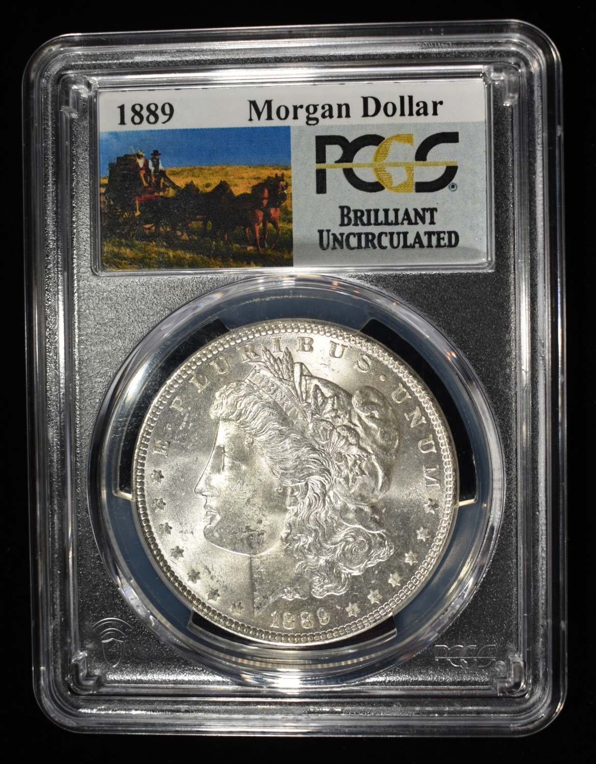 1889 MORGAN DOLLAR PCGS BU
