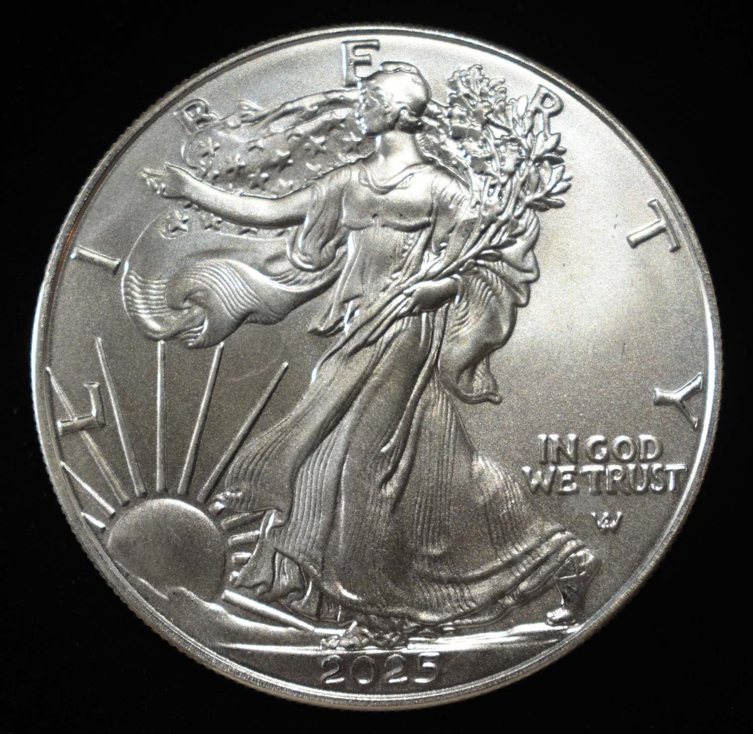 2025 AMERICAN SILVER EAGLE