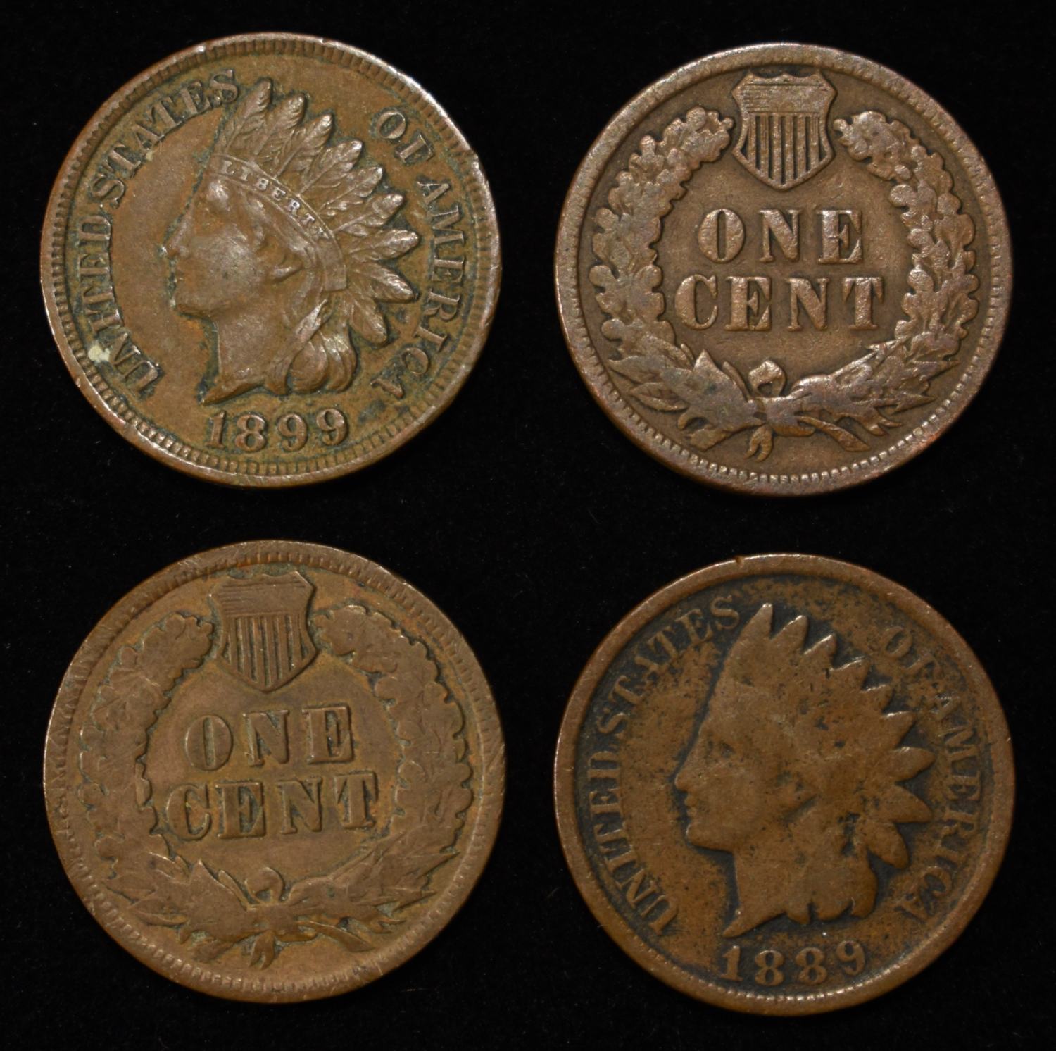 (50) INDIAN HEAD CENTS