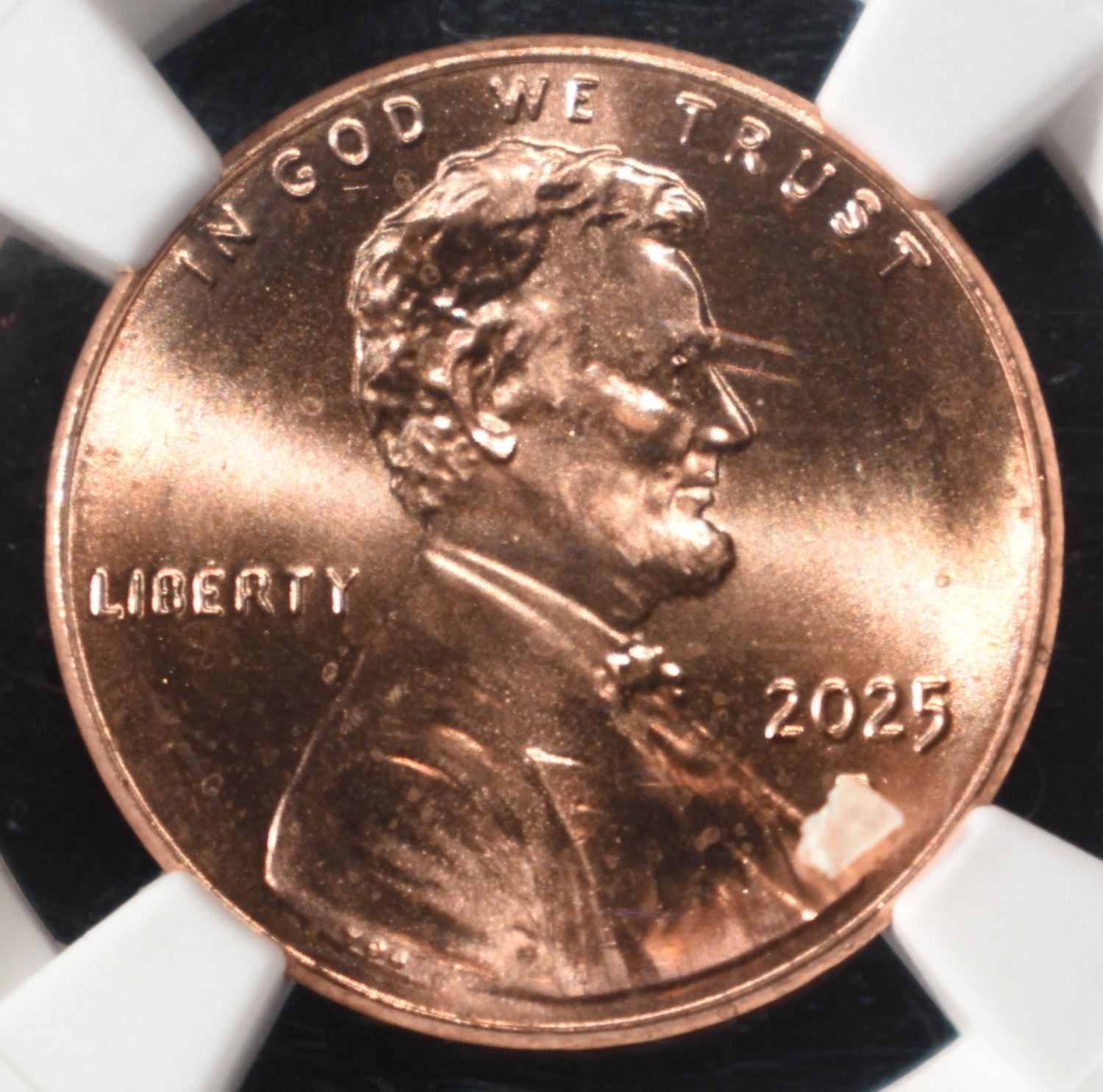 2025-D SHIELD CENT NGC MS66RD
