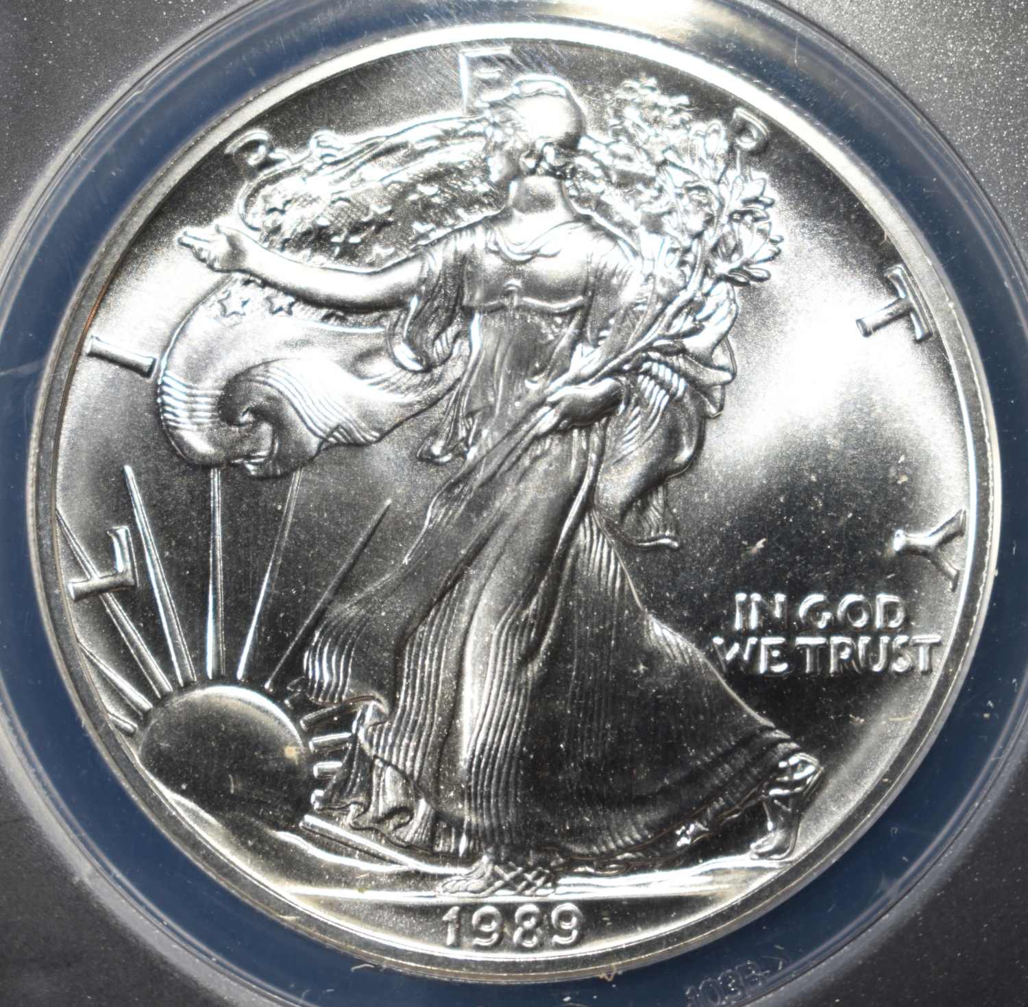 1989 AMERICAN SILVER EAGLE ANACS MS69