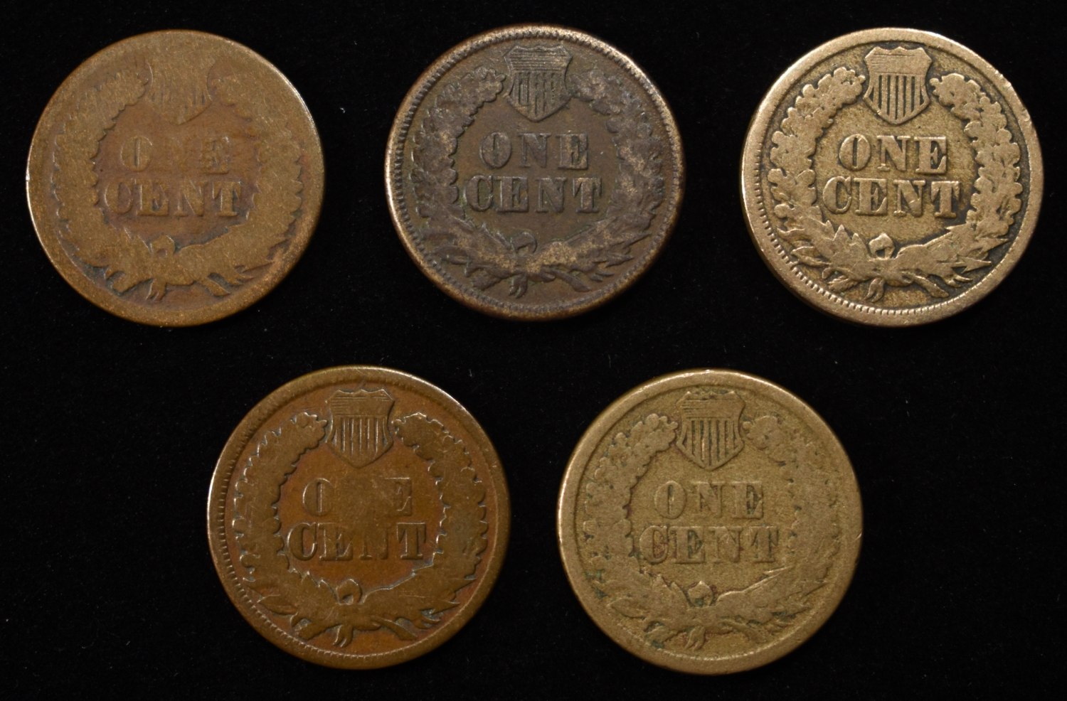 (5) INDIAN HEAD CENTS
