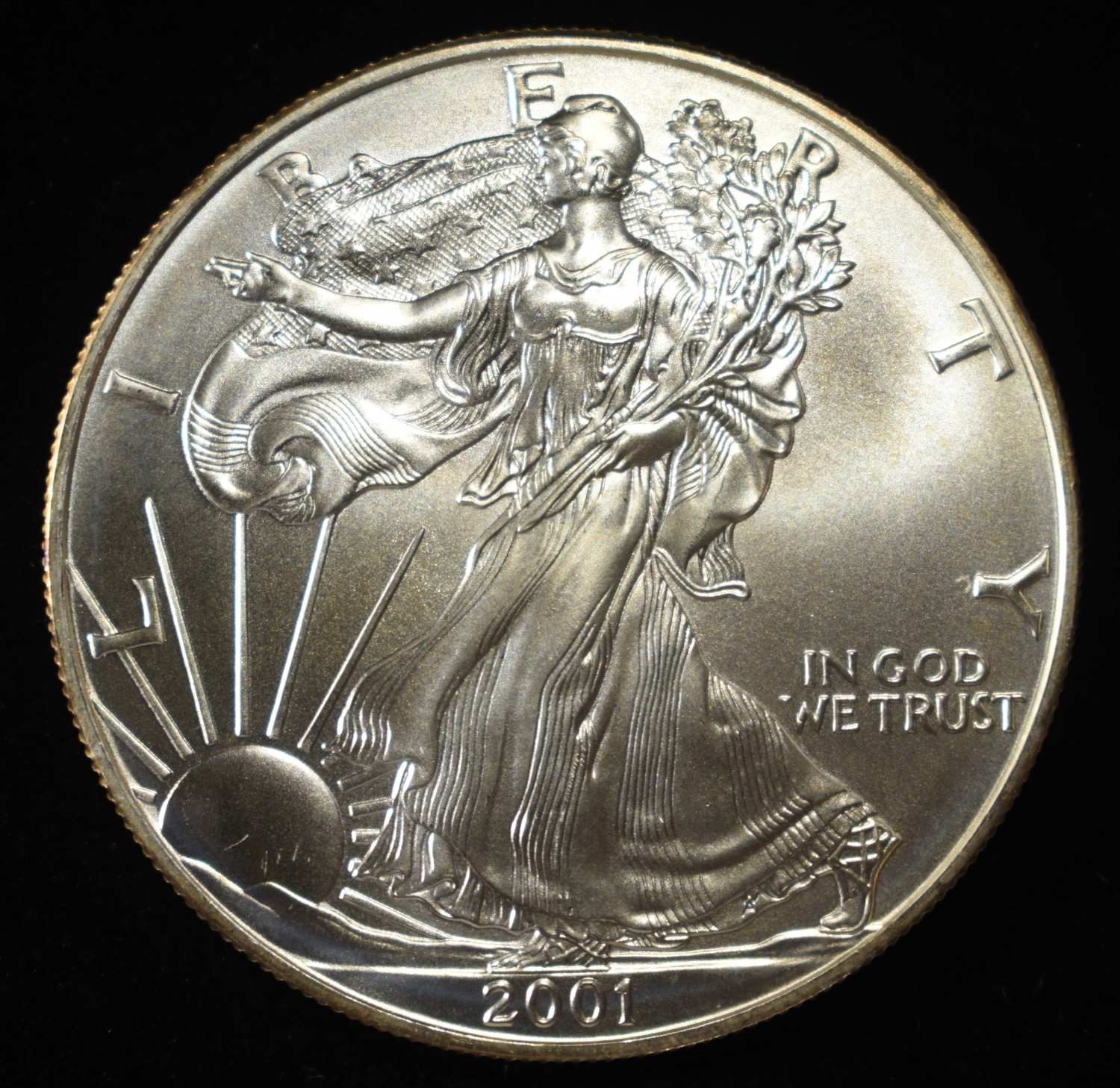 2001 AMERICAN SILVER EAGLE