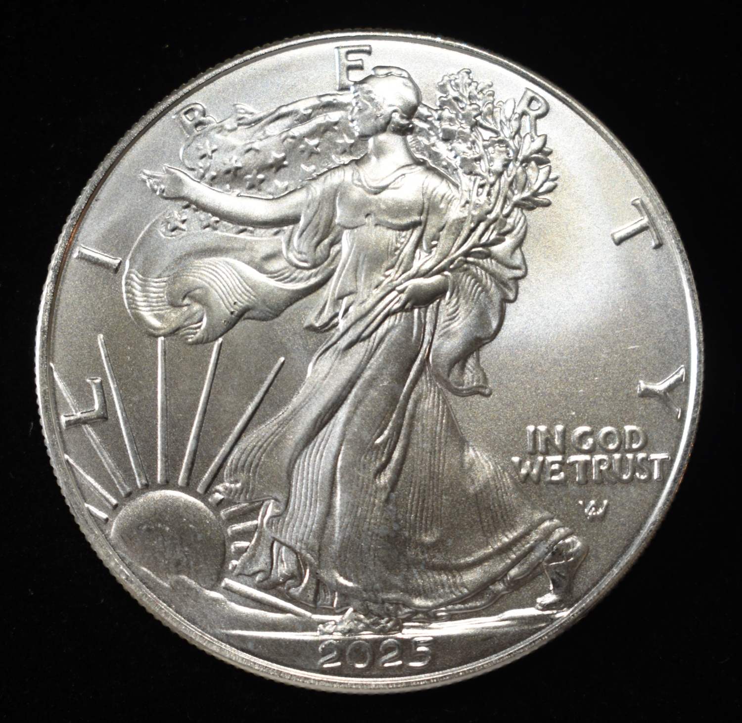 2025 AMERICAN SILVER EAGLE