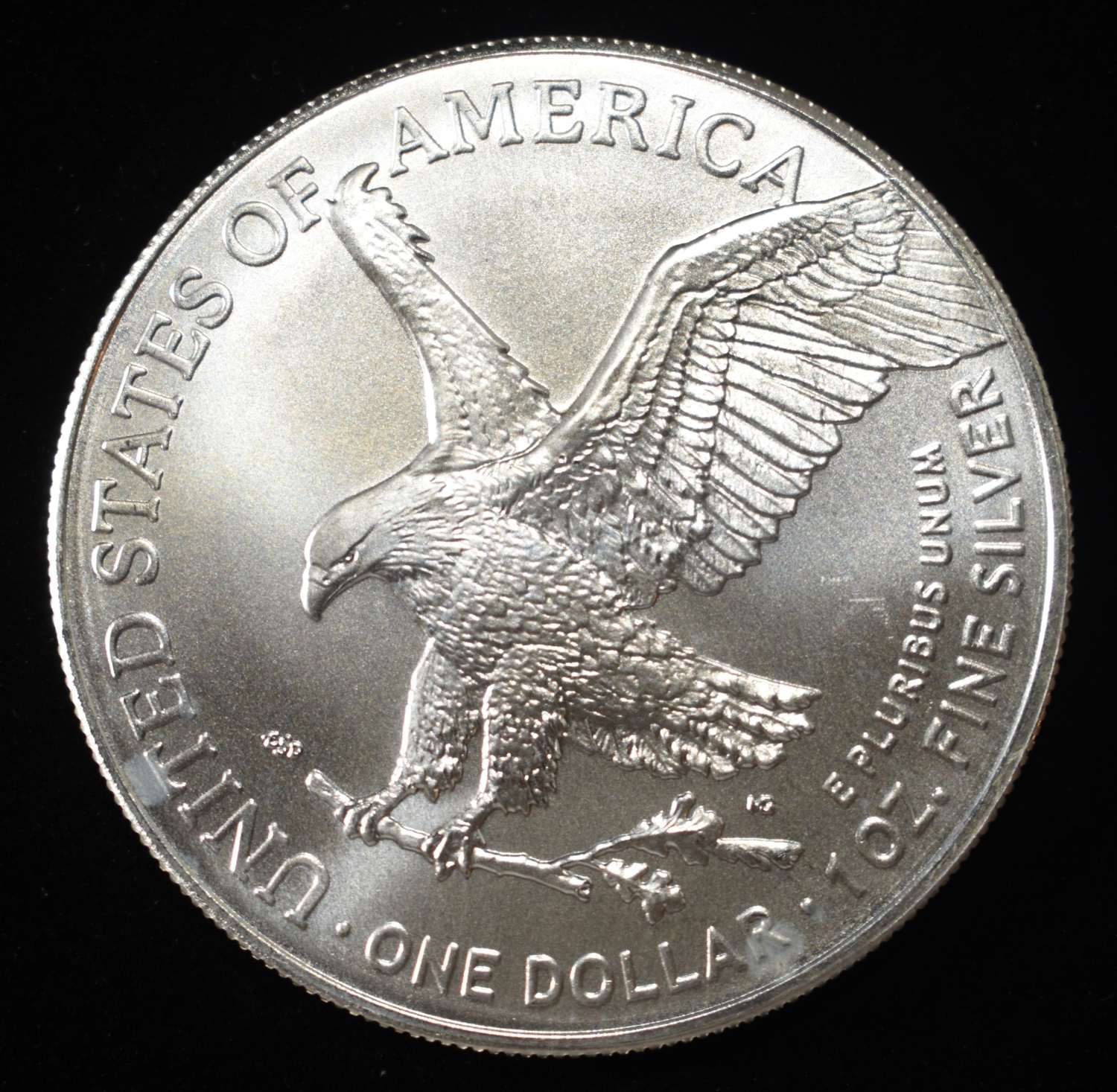 2025 AMERICAN SILVER EAGLE