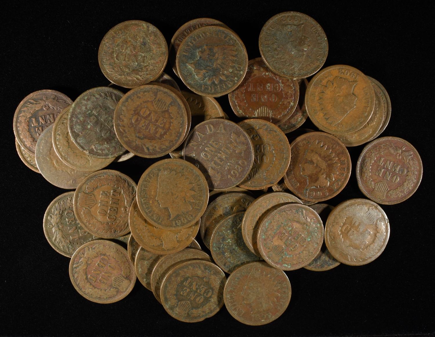 (50) INDIAN HEAD CENTS