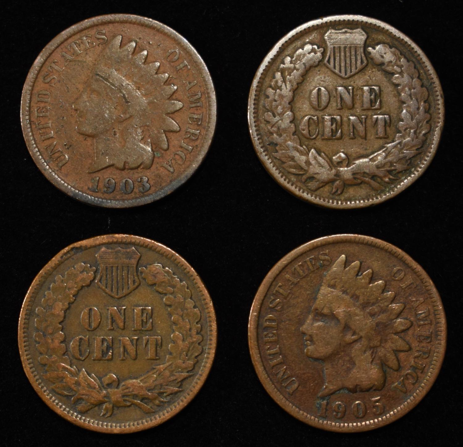 (50) INDIAN HEAD CENTS
