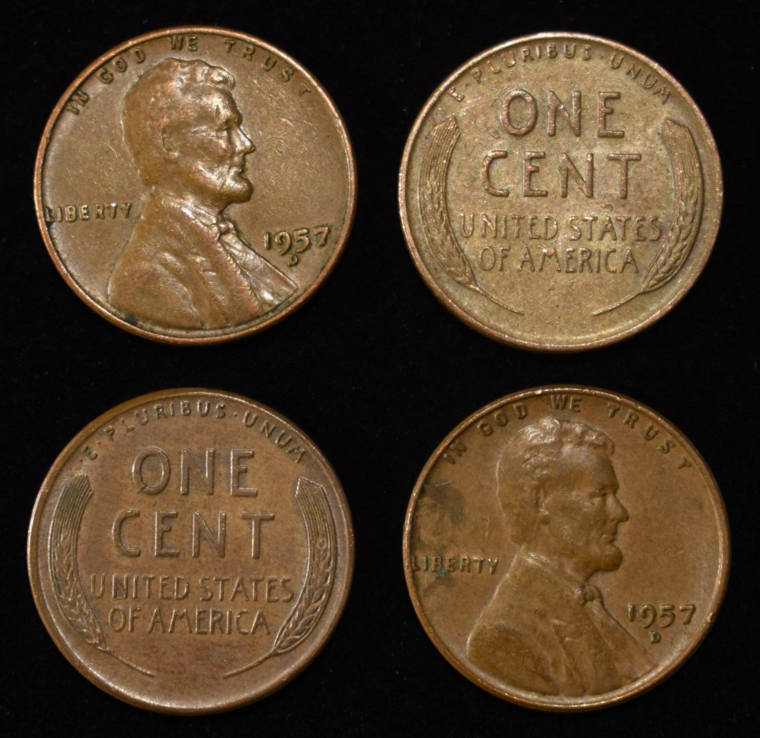(500) WHEAT CENTS