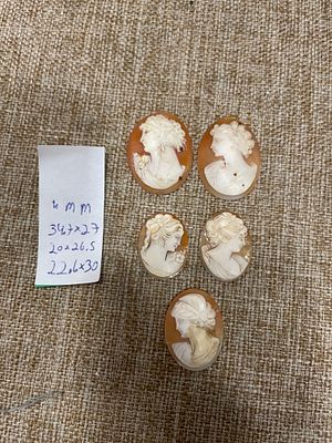 לוט 5 קמאו על צדף ויקטוריאני עתיק