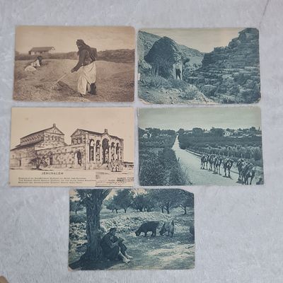 5 גלויות ישנות: 
1. הזורה בדואי 
2. ואדי קלט 
3. פרדסי פ"ת 
