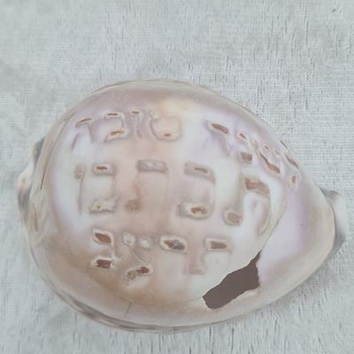 קונכיה נדירה עם תבליט כיתוב : ' לשנה טובה תכתבו תרעב' - ברכה לראש השנה שנת תרע"ב (1912), פגמי 