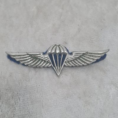 סיכת צנחן ישנה עם ברגים מאחור