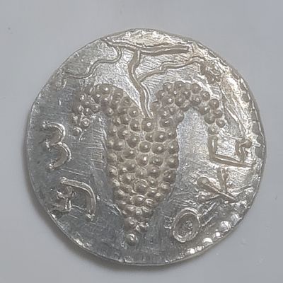 מטבע מכסף רפליקה איכותית, משקל כ 3.88 גרם