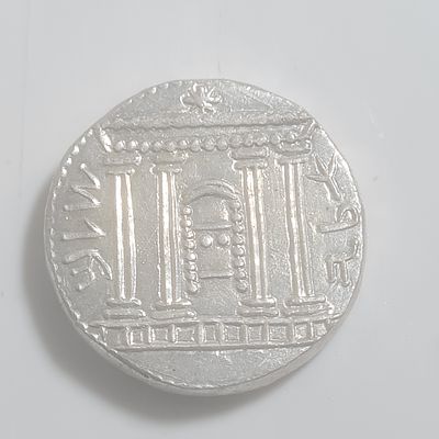 מטבע מכסף רפליקה איכותית, משקל כ 15.56 גרם