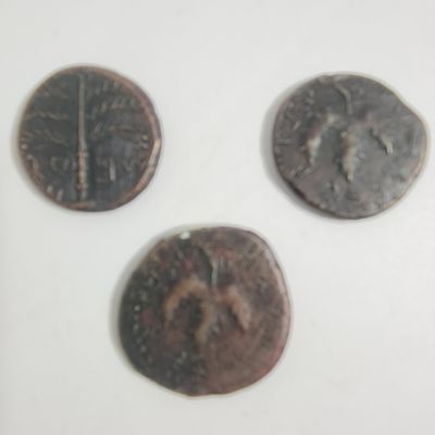 3 מטבעות רפליקות מנחושת של מטבעות עתיקים בר כוכבא, קוטר : 2 - 2.5 ס"מ, משקל כולל כ 34.8 גרם