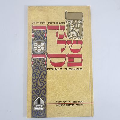 הגדה של פסח - משעבוד לגאולה, צה"ל, מיוחדת מצב כחדש