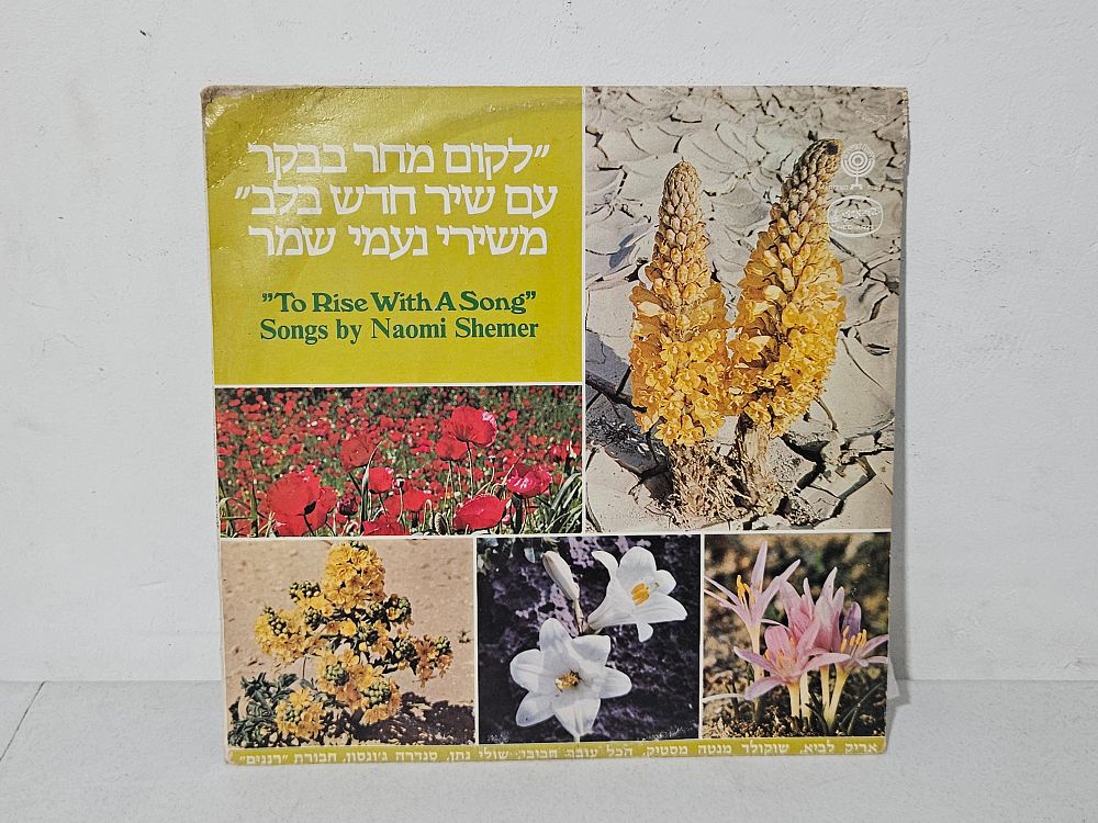 תקליט נעמי שמר 
נראה טוב אך לא נבדקה תקינות