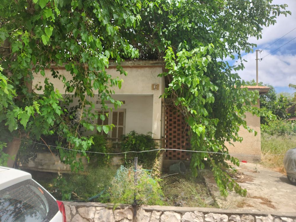 , בית מגורים צמוד קרקע, ראשון לציון, רחוב הפורצים 3, גוש 3945, חלקה 100. תיאור הנכס:
בית מגורים צמוד קרקע ותיק
על קרקע בשטח רשום 
של 535 מ"ר (ע"פ נסח הרישום).
שטח בנוי 103.68 מ"ר
(עפ"י תוכנית היתר בניה מס' 6206)..