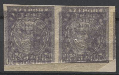 РСФСР 1921 г Стандарт 250 руб Абкляч + двойной оттиск Пара MNH. СК 9 - КОМБИНАЦИЯ ТАКИХ 