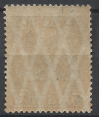 РСФСР 1922 г Надпечатка "Голодающим" Меловая сетка на клеевой стороне Сол 8000 руб MNH. СОЛ 32 - 