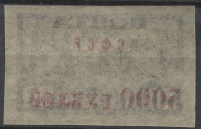 РСФСР 1922 г Стандарт Надпечатка 5000/20 р Абкляч надпечатки сдвинута Кат 35 $ MNH. СК 2004 Г. № 
