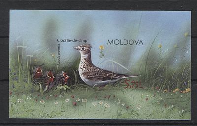 Молдавия 2015 г. Птицы Б/З Блок MNH. MI BL 70 - Б/З МАРКИ В MICHEL НЕ ОПИСАНЫ 
БЕЗЗУБЦОВЫЕ МАРКИ 