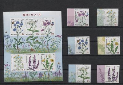Молдавия 2016 г. Цветы Б/З Блок + 6 мар MNH. MI 951/6 + BL 72 - Б/З МАРКИ В MICHEL НЕ ОПИСАНЫ 