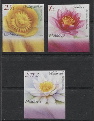 Молдавия 2019 г. Флора Б/З Полн сер 3 мар MNH. MI 1098/1100 - Б/З МАРКИ В MICHEL НЕ ОПИСАНЫ 