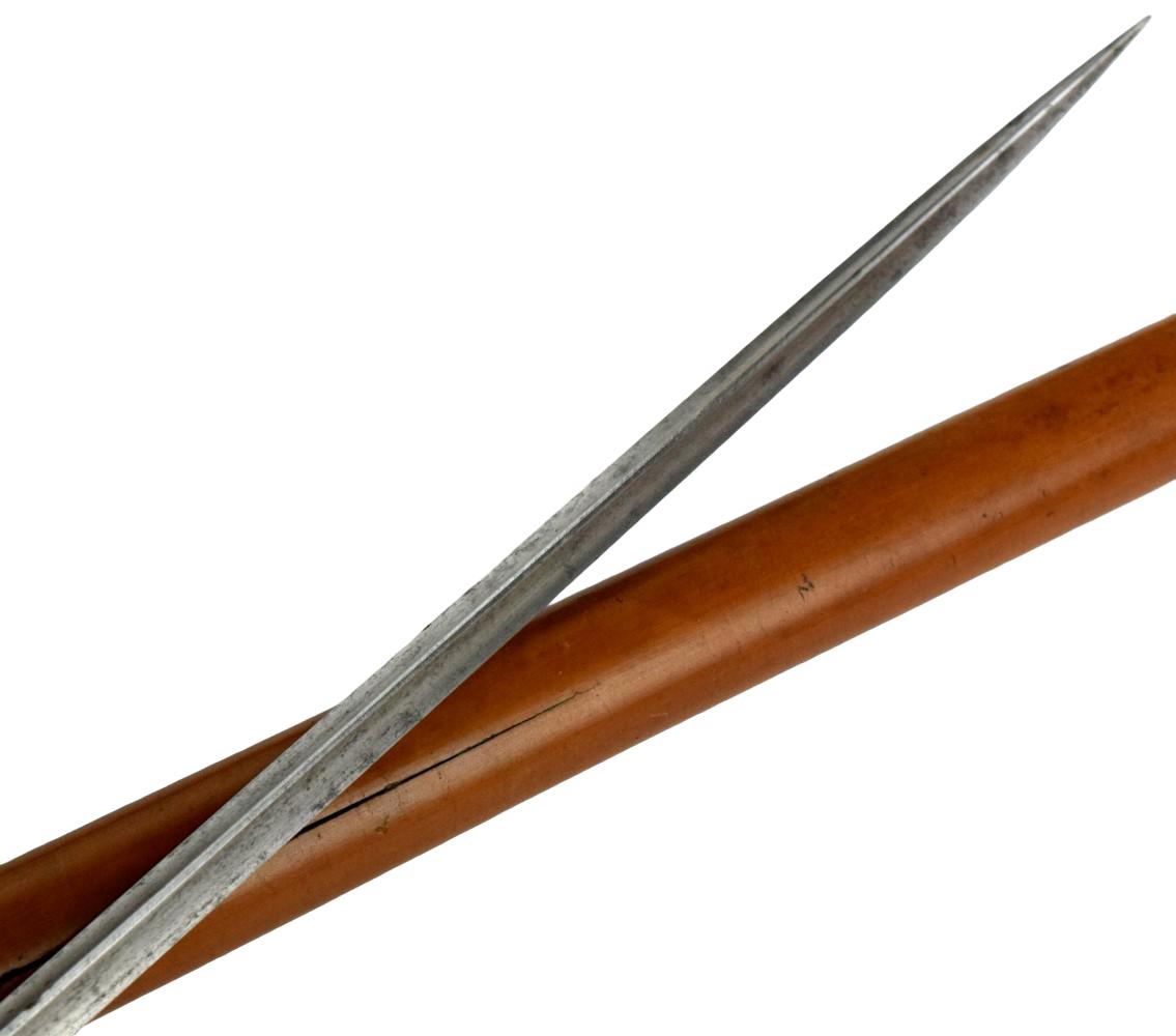 Fine 19th Century Navy Sword Cane English or French