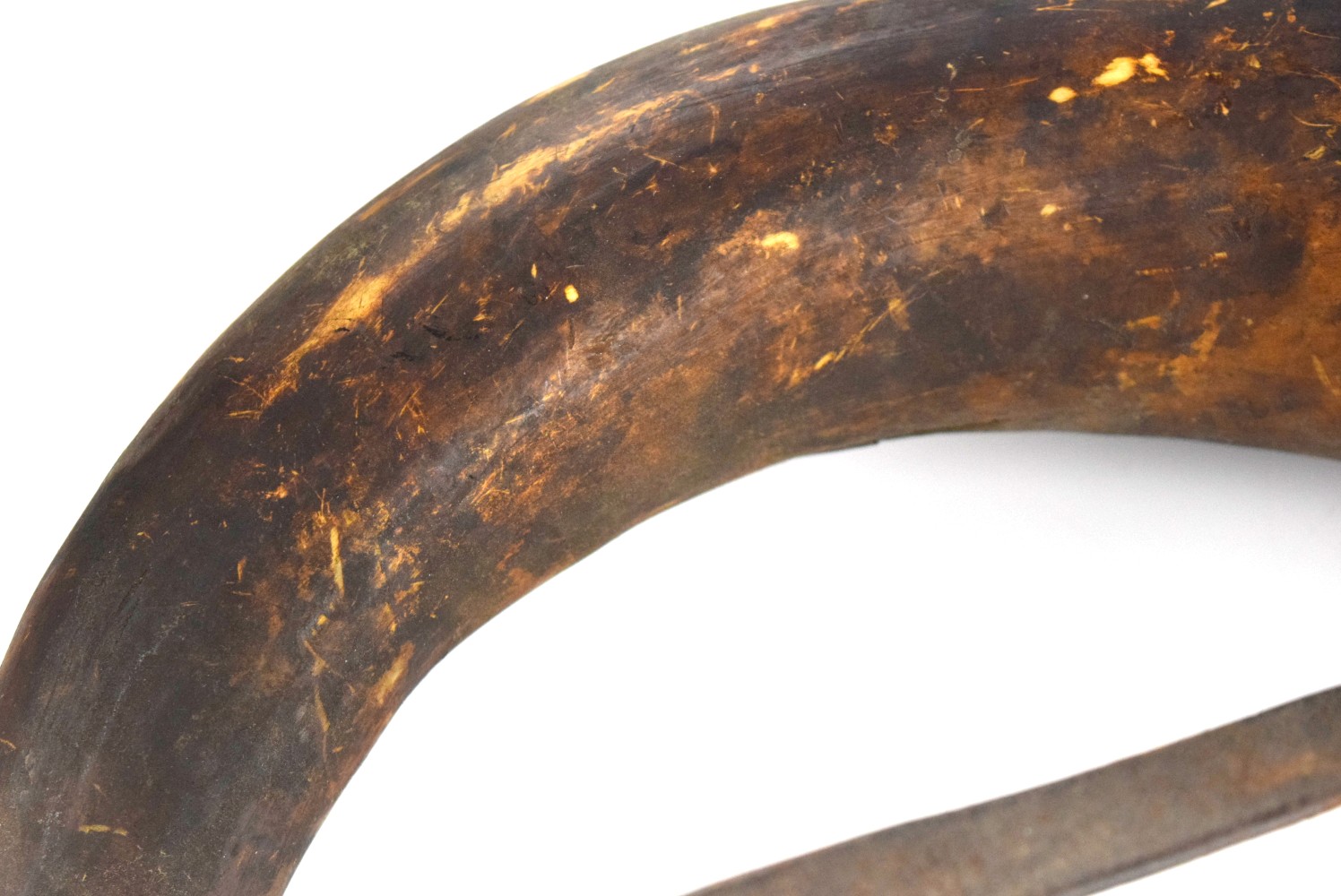 Antique Large Black Powder Horn Flask w/ Leather End-Cap & Carry Strap for Cannon
