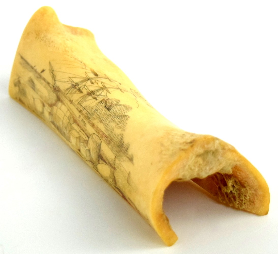 Rare American Civil War era Large Whale Bone with Fine Naval Scrimshaw of a Sail Boat Sailboat Inscribed ''SUSAN 1861''.