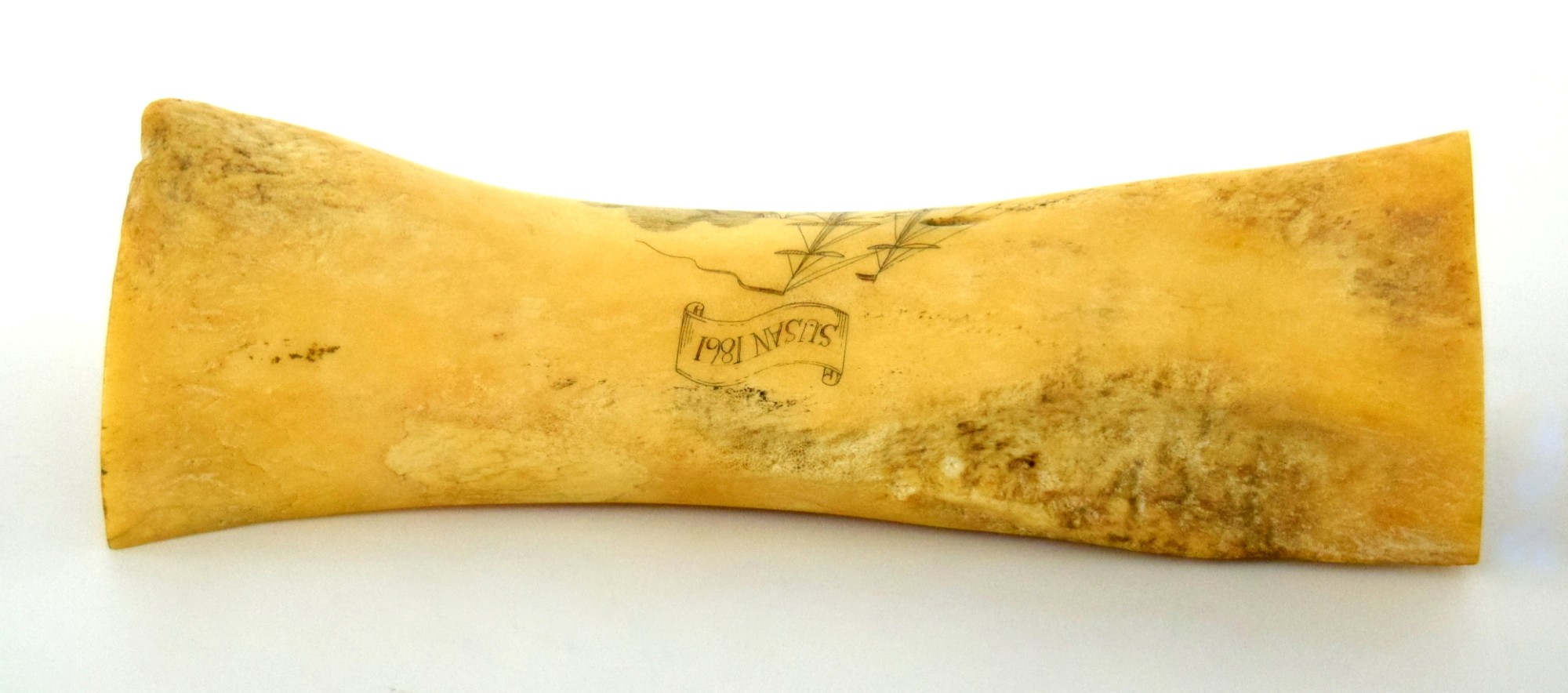 Rare American Civil War era Large Whale Bone with Fine Naval Scrimshaw of a Sail Boat Sailboat Inscribed ''SUSAN 1861''.