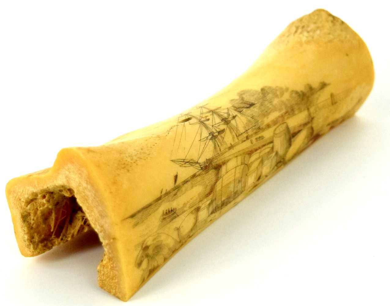 Rare American Civil War era Large Whale Bone with Fine Naval Scrimshaw of a Sail Boat Sailboat Inscribed ''SUSAN 1861''.